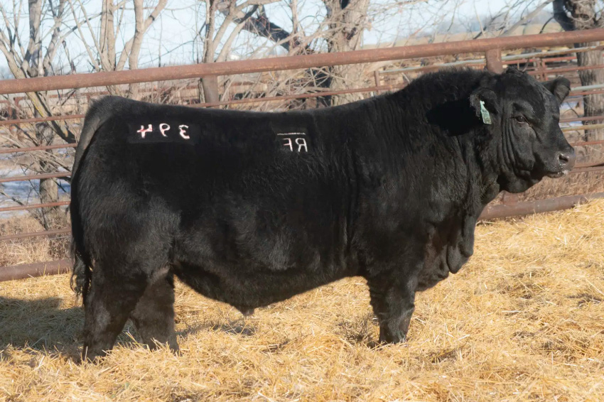 Sire9